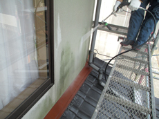 外壁　塗装　気になっていた苔汚れも、オリバークリーナーがぐんぐん落とします！　北九州 